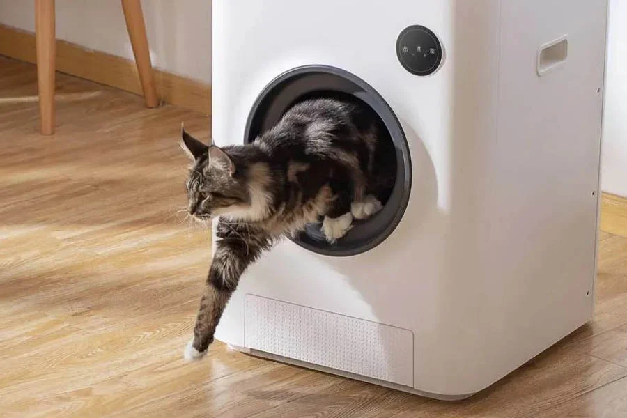 best automatic litter box for cats